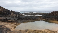 Wir haben Niedrigwasser im Gezeitenbecken, Piscina Naturista in Charco del Palo.